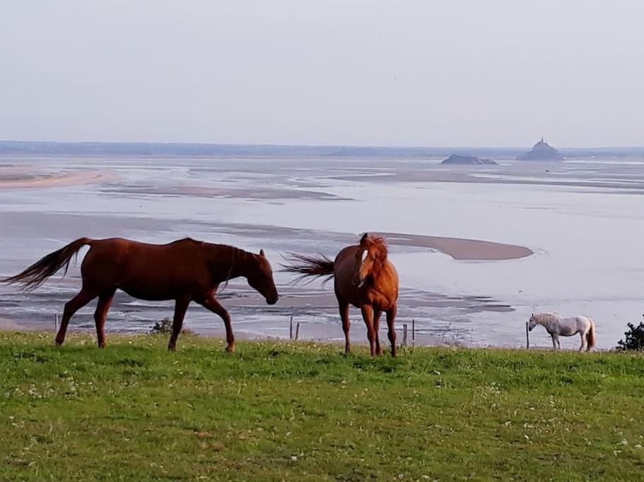 Maison Vue Sur Le Mont Saint Michel Et Sa Baie Champeaux Экстерьер фото